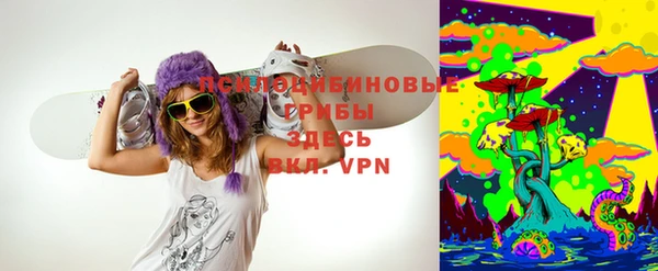 индика Алексеевка