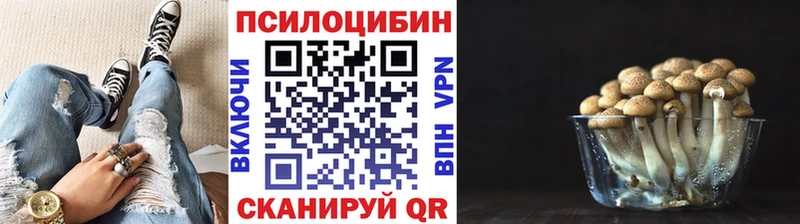наркотики  Циолковский  Псилоцибиновые грибы MAGIC MUSHROOMS 
